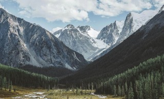 0149导航：数据可视化：年报：仅供查询与学习，2020导航市场份额