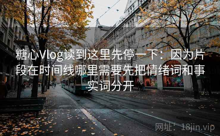 糖心Vlog读到这里先停一下：因为片段在时间线哪里需要先把情绪词和事实词分开