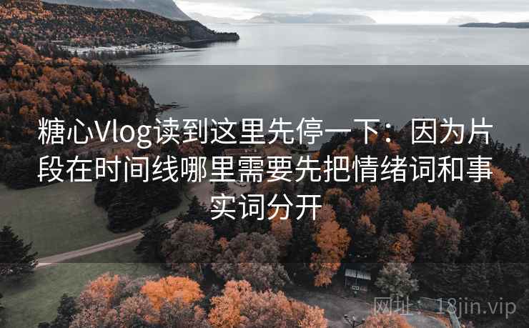 糖心Vlog读到这里先停一下：因为片段在时间线哪里需要先把情绪词和事实词分开